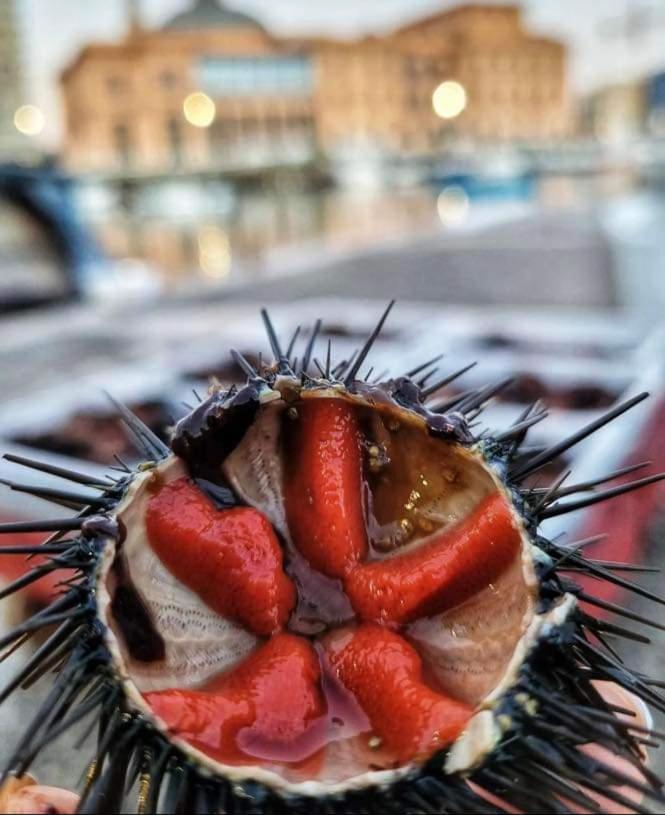 A Mola di Bari